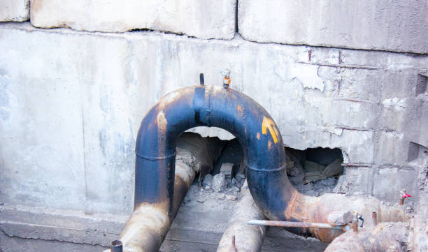 Best Carpet water damage restoration  in Pojoaque, NM